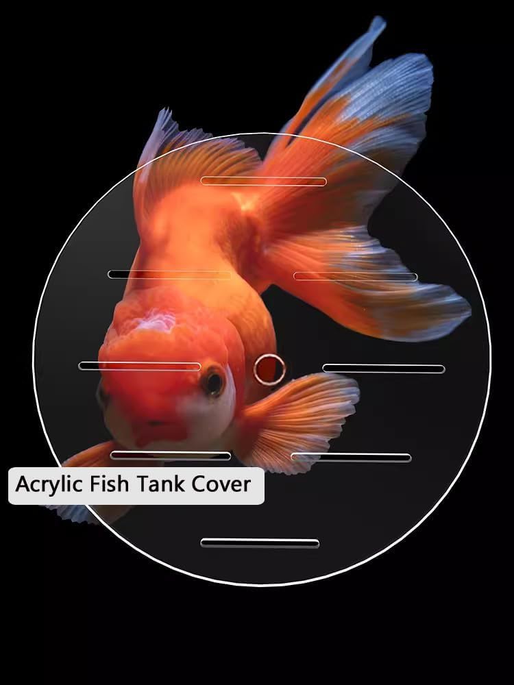 Primst Acrylic Aquarium Anti-Jumping Lid Cover with Hole, Round Acrylic Plate Fish Tank Cover to Profect Fish, Reptiles, Turtles from Jumping Out Protect Cat, Thick 3mm (A,Diameter 7.8inch) - Image 4